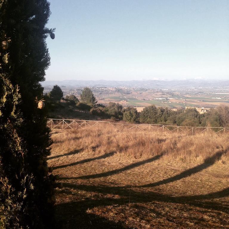 Poggio Dei Signorelli Hotel Torgiano Cameră foto